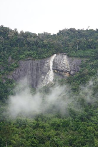 Jelawang